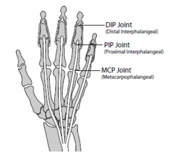 types_of_joints